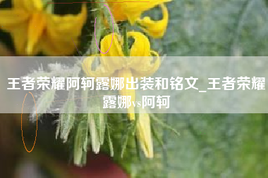 王者荣耀阿轲露娜出装和铭文_王者荣耀露娜vs阿轲