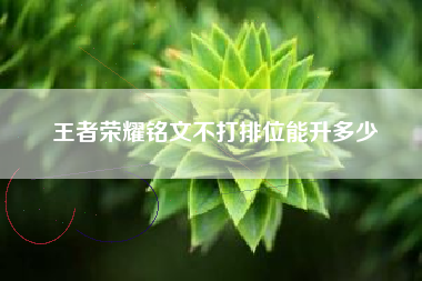 王者荣耀铭文不打排位能升多少