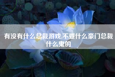 有没有什么总裁游戏,不要什么豪门总裁什么鬼的