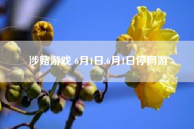 涉赌游戏 6月1日,6月1日停网游