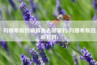 玛娜希斯回响鲫鱼去哪里钓(玛娜希斯回响官网)