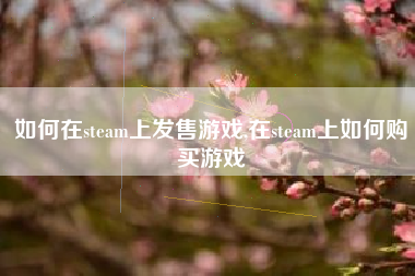 如何在steam上发售游戏,在steam上如何购买游戏