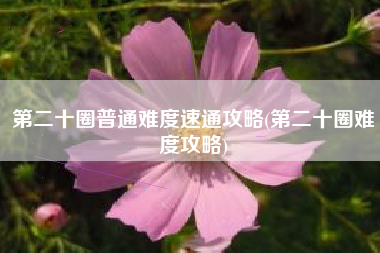 第二十圈普通难度速通攻略(第二十圈难度攻略)