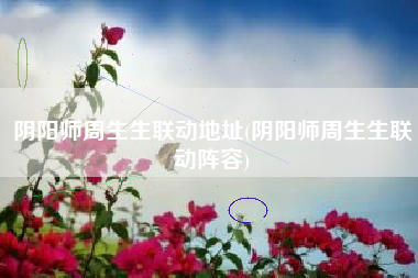 阴阳师周生生联动地址(阴阳师周生生联动阵容)