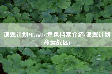 银翼计划MicroUzi角色档案介绍(银翼计划命运战区)