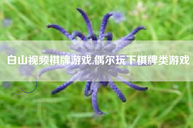 白山视频棋牌游戏,偶尔玩下棋牌类游戏