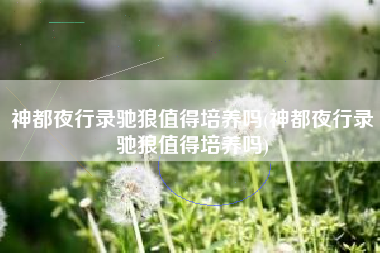 神都夜行录驰狼值得培养吗(神都夜行录驰狼值得培养吗)