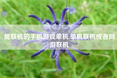 能联机的手机游戏单机,单机联机或者网游联机