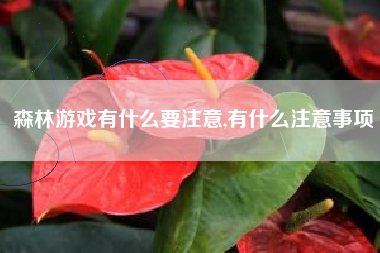 森林游戏有什么要注意,有什么注意事项