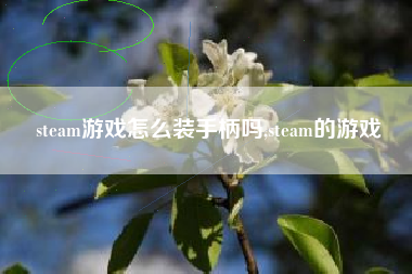 steam游戏怎么装手柄吗,steam的游戏