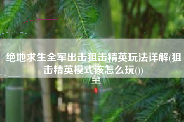 绝地求生全军出击狙击精英玩法详解(狙击精英模式该怎么玩())