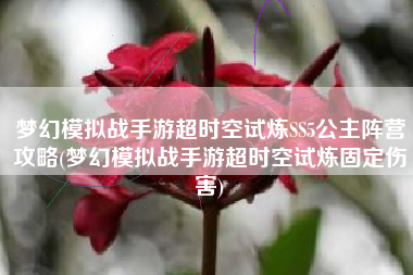 梦幻模拟战手游超时空试炼SS5公主阵营攻略(梦幻模拟战手游超时空试炼固定伤害)