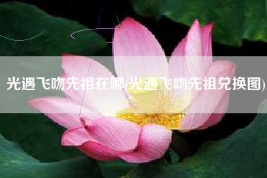 光遇飞吻先祖在哪(光遇飞吻先祖兑换图)
