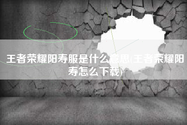 王者荣耀阳寿服是什么意思(王者荣耀阳寿怎么下载)