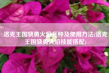 洛克王国骁勇火焰兵种及使用方法(洛克王国骁勇火焰技能搭配)