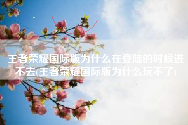王者荣耀国际版为什么在登陆的时候进不去(王者荣耀国际版为什么玩不了)