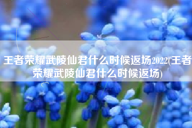 王者荣耀武陵仙君什么时候返场2022(王者荣耀武陵仙君什么时候返场)