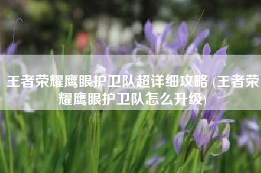 王者荣耀鹰眼护卫队超详细攻略 (王者荣耀鹰眼护卫队怎么升级)