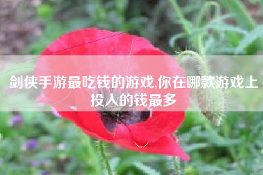 剑侠手游最吃钱的游戏,你在哪款游戏上投入的钱最多