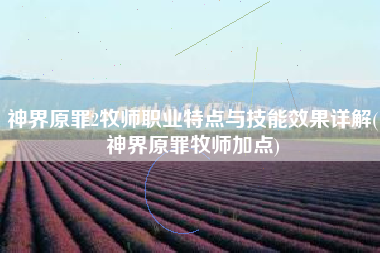 神界原罪2牧师职业特点与技能效果详解(神界原罪牧师加点)