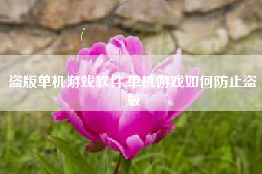 盗版单机游戏软件,单机游戏如何防止盗版