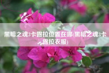 黑暗之魂3卡露拉位置在哪(黑暗之魂3卡露拉衣服)