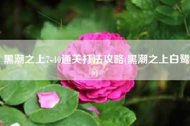 黑潮之上7-40通关打法攻略(黑潮之上白鹭)