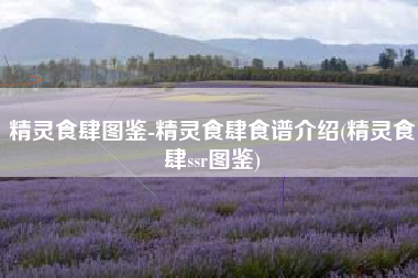 精灵食肆图鉴-精灵食肆食谱介绍(精灵食肆ssr图鉴)