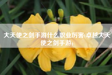 大天使之剑手游什么职业厉害(卓越大天使之剑手游)