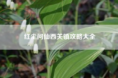 红尘问仙西关镇攻略大全