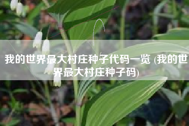 我的世界最大村庄种子代码一览 (我的世界最大村庄种子码)