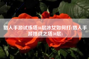 猎人手游试练塔46层冰女如何打(猎人手游挑战之塔30层)