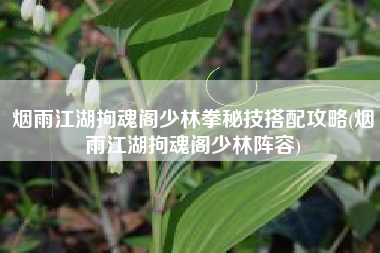 烟雨江湖拘魂阁少林拳秘技搭配攻略(烟雨江湖拘魂阁少林阵容)