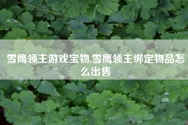 雪鹰领主游戏宝物,雪鹰领主绑定物品怎么出售