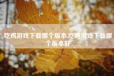 吃鸡游戏下载哪个版本,吃鸡游戏下载哪个版本好