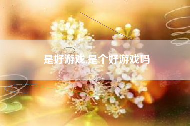 是好游戏,是个好游戏吗