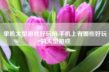 单机大型游戏好玩的,手机上有哪些好玩的大型游戏