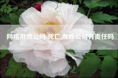 网络游戏公司 死亡,游戏公司有责任吗