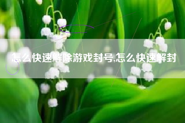 怎么快速解除游戏封号,怎么快速解封