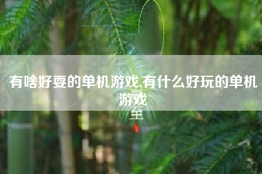有啥好耍的单机游戏,有什么好玩的单机游戏