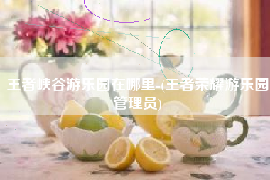 王者峡谷游乐园在哪里-(王者荣耀游乐园管理员)