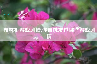 布林机游戏剧情,你曾触发过哪些游戏剧情