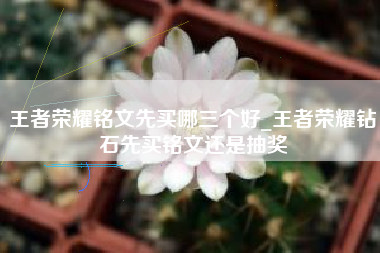 王者荣耀铭文先买哪三个好_王者荣耀钻石先买铭文还是抽奖