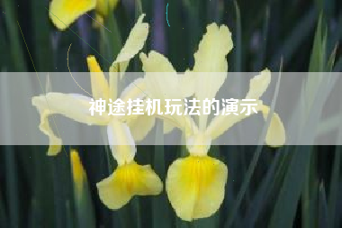 神途挂机玩法的演示