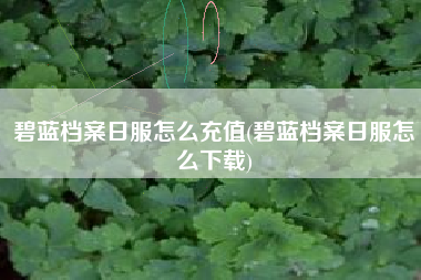 碧蓝档案日服怎么充值(碧蓝档案日服怎么下载)