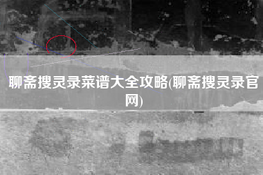 聊斋搜灵录菜谱大全攻略(聊斋搜灵录官网)
