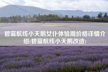 碧蓝航线小天鹅女仆体验周价格详情介绍(碧蓝航线小天鹅改造)