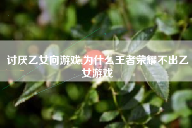 讨厌乙女向游戏,为什么王者荣耀不出乙女游戏
