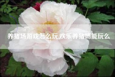 养猪场游戏怎么玩,欢乐养猪场能玩么