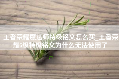 王者荣耀魔法师特级铭文怎么买_王者荣耀5级特级铭文为什么无法使用了